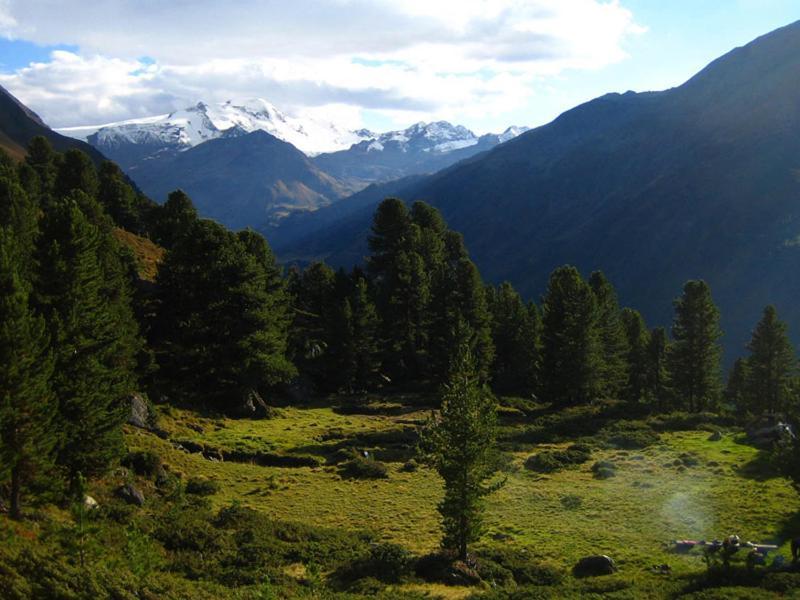 Plattnerhof Kaunertal Ngoại thất bức ảnh