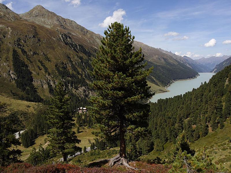 Plattnerhof Kaunertal Ngoại thất bức ảnh