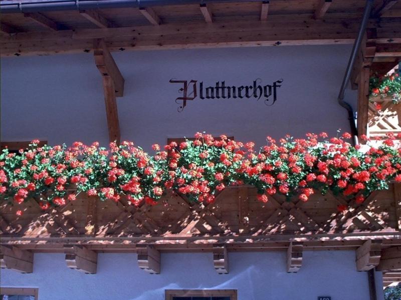 Plattnerhof Kaunertal Phòng bức ảnh